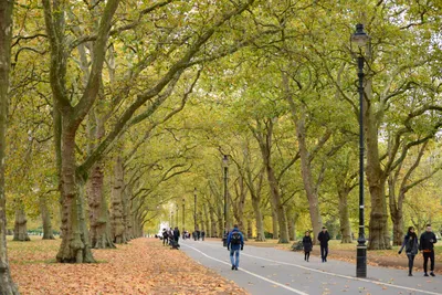 DSC_0602 (Large).JPG